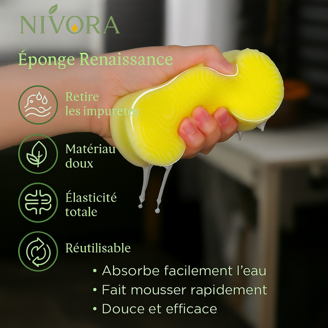 Nivora – Éponge Renaissance (Pack De 3)