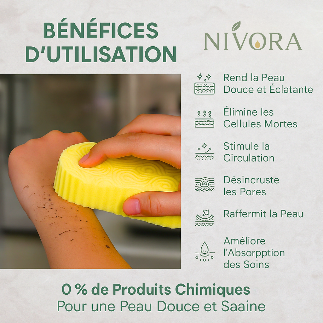 Nivora – Éponge Renaissance (Pack De 3)